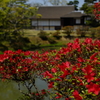 桂離宮3