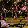 夕暮れの華
