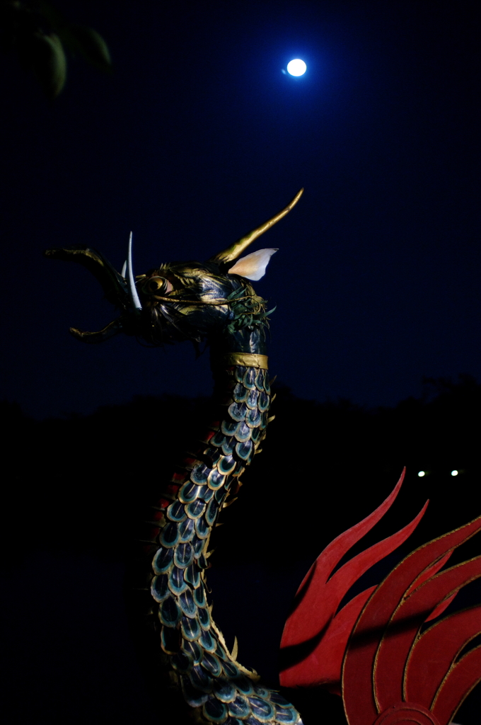 月夜に泳ぐ