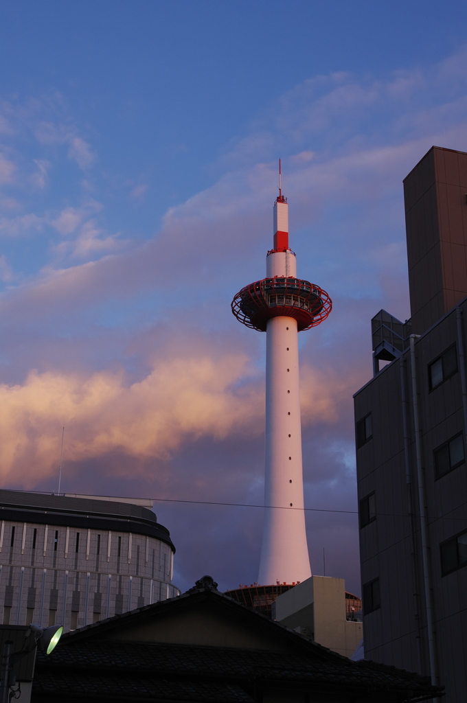 夕日浴びて