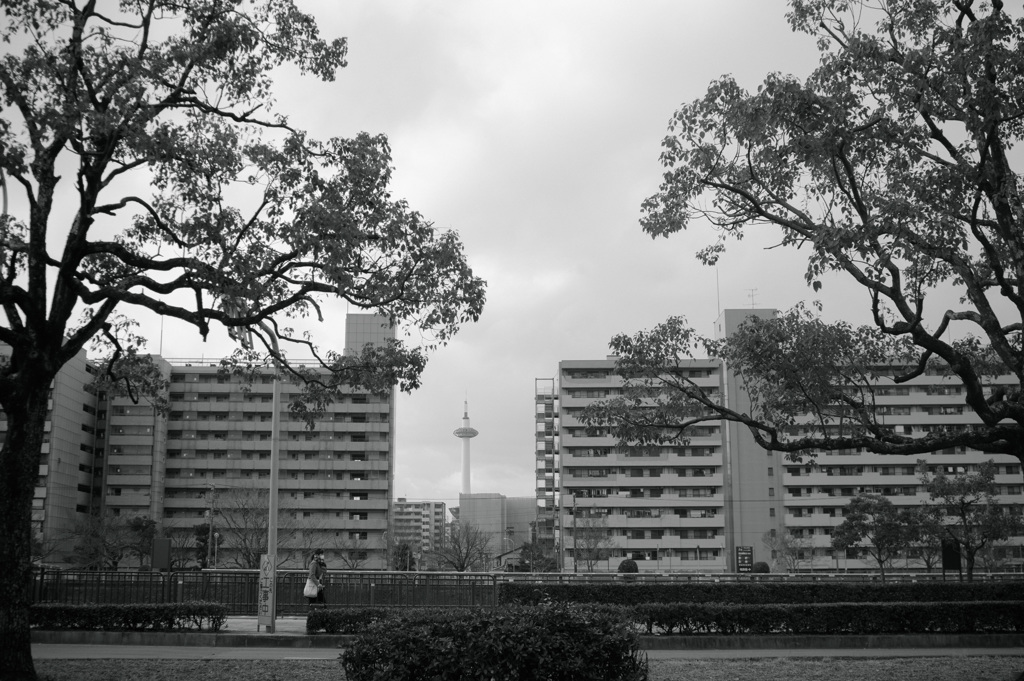towerのある風景