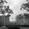 towerのある風景