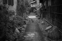 にやぁ？？