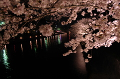疎水の夜