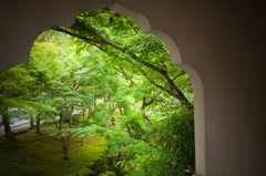 窓景