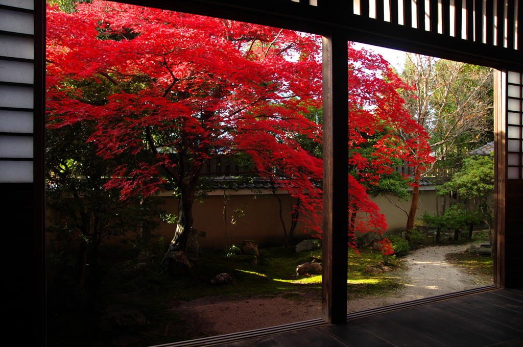 天球院