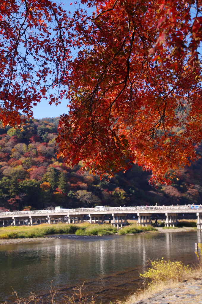 渡月橋