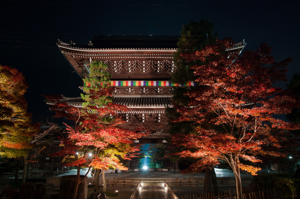 紅葉撮らnight!!