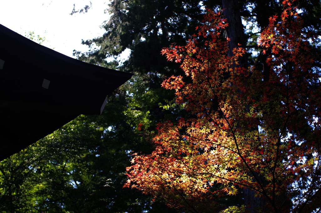 お先に燃えます