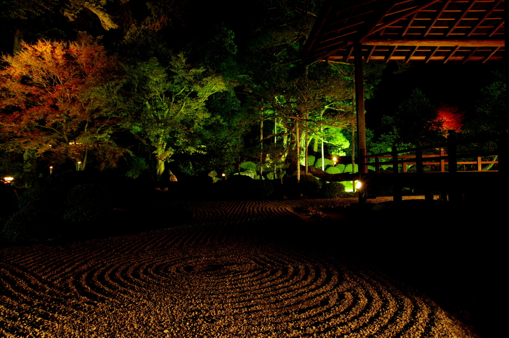 秋夜の庭園