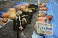 今は完売