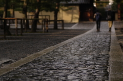 雨に潤んで