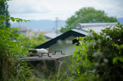 お気に入りの場所