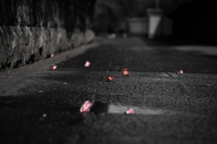 burari-kyoto,3
