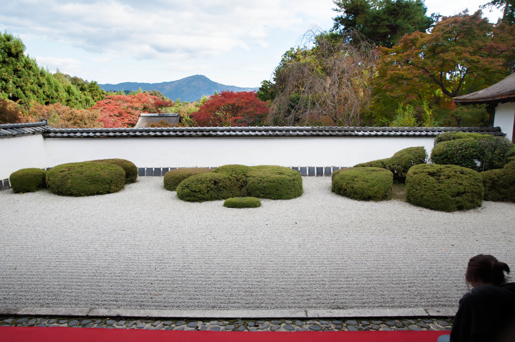 比叡山の見える庭