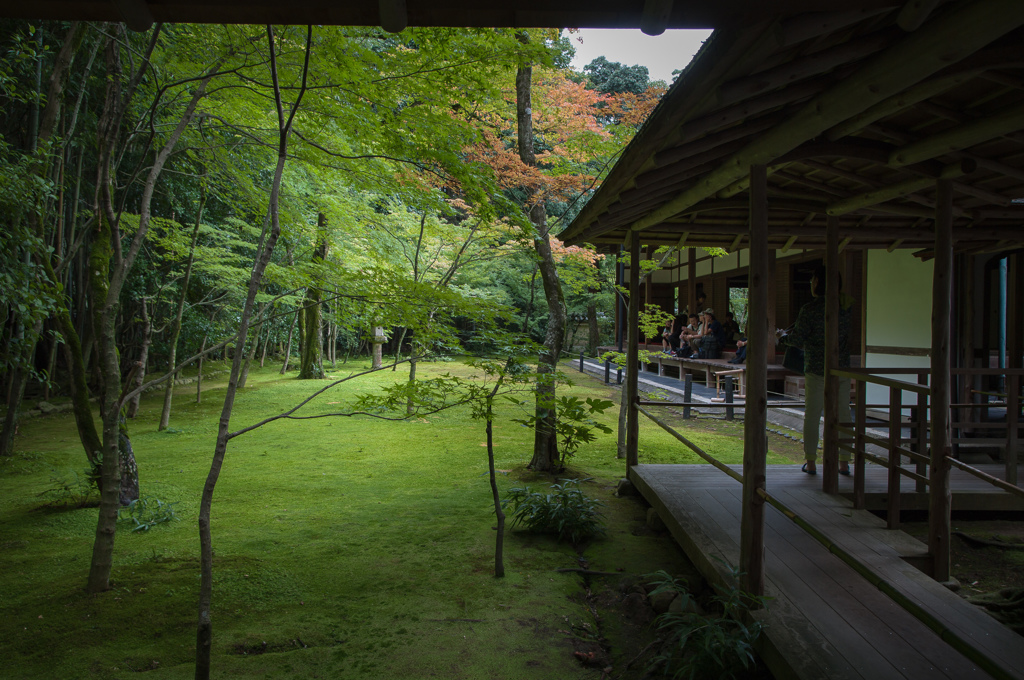 高桐院