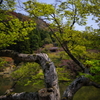 修学院離宮4