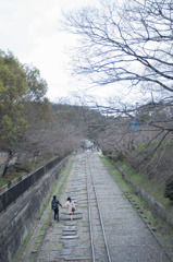 桜はまだだけど…