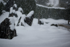 ほんで、また雪。