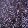 雨ふり