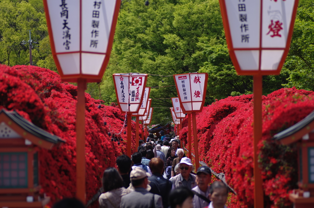 長岡天満宮