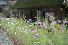 ・・・・・