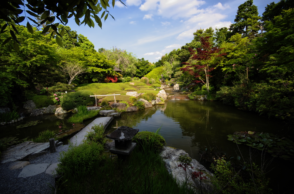退蔵院