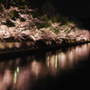 岡崎夜桜