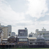 川縁