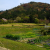 修学院離宮2