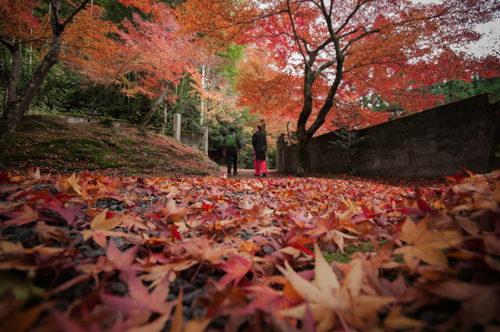 足元は紅