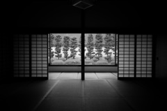 庭明