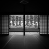 庭明