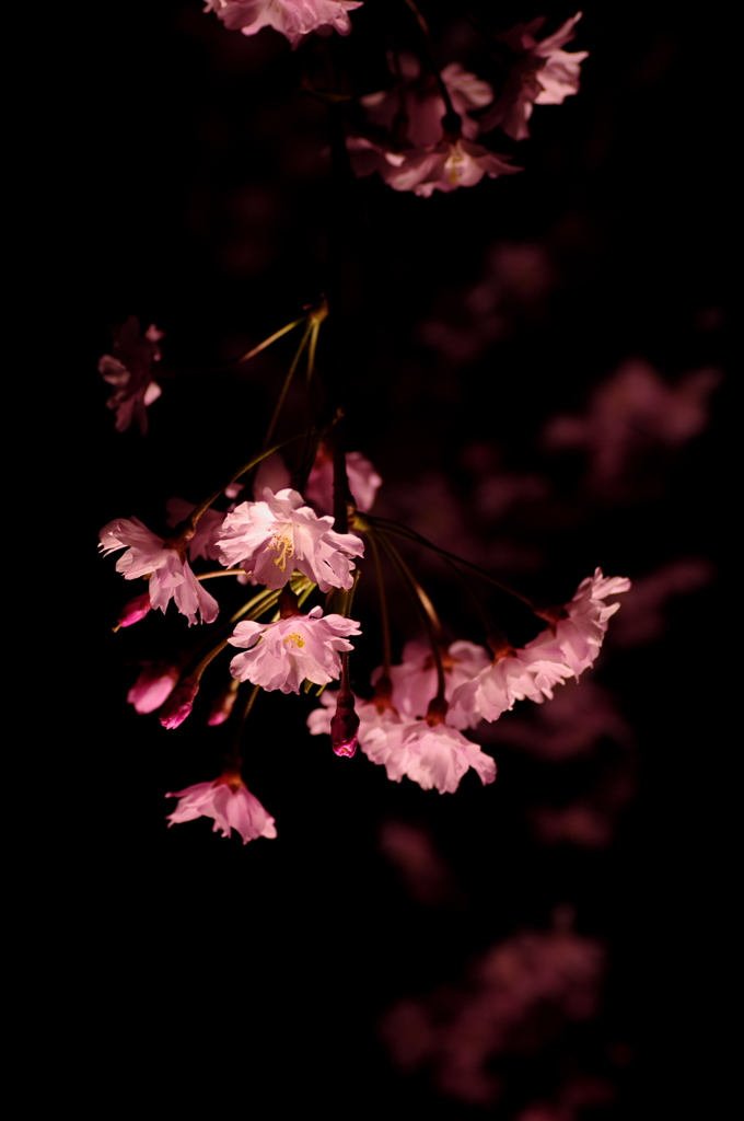 寝顔