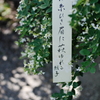 秋を詠む