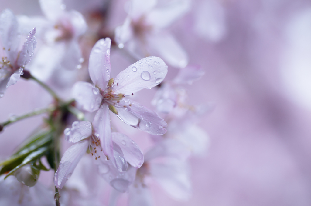 雨でも逢いに来て