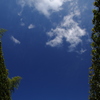 銀閣の空
