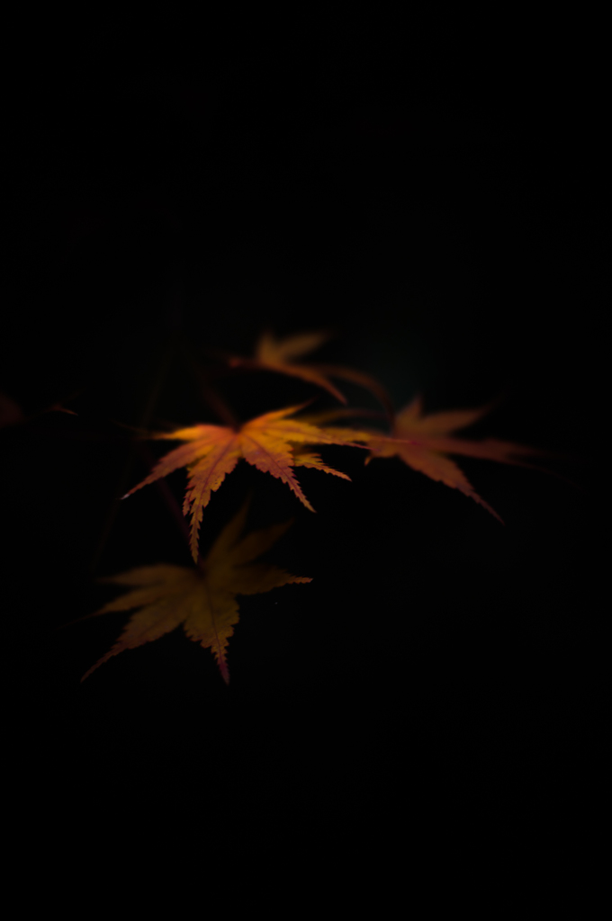 himeta-omoi