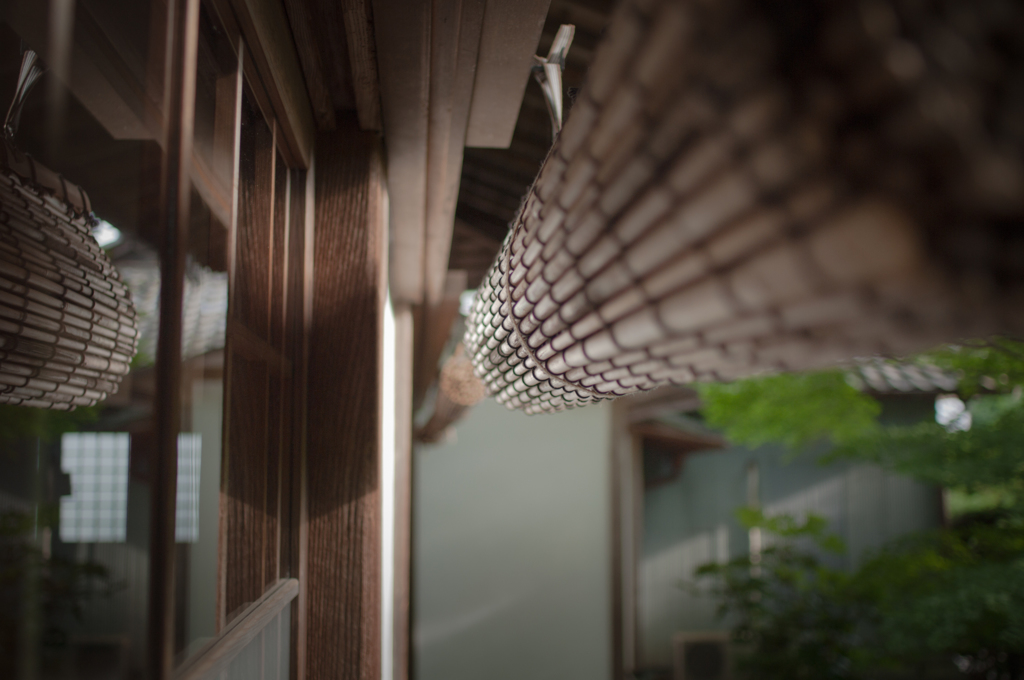 光と風