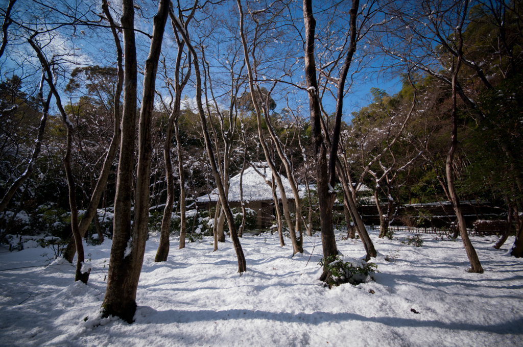 祇王寺