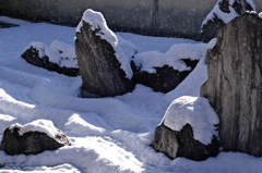 石に雪
