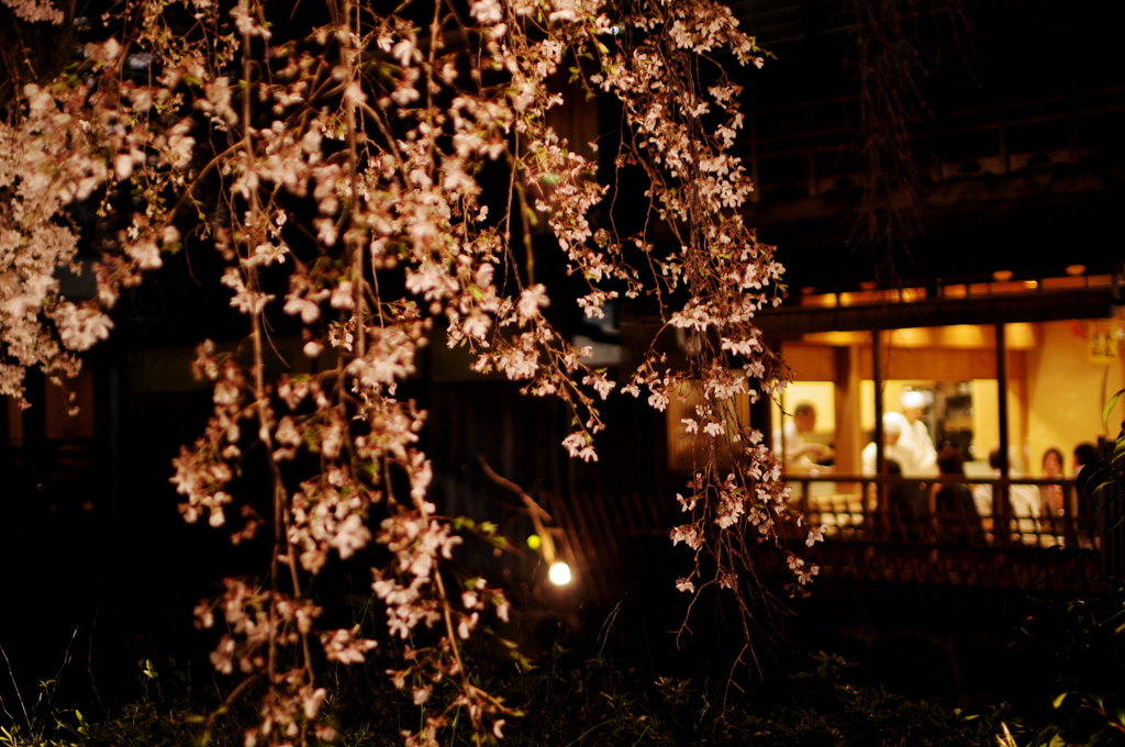 祇園の春夜