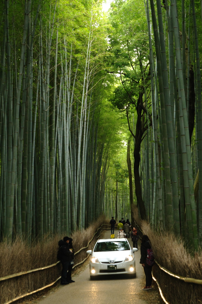 車も通る