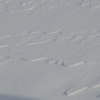雪原の波