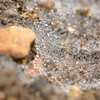 水玉、大地をゆく。