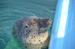 日光浴