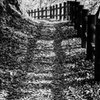 枯れ葉道の線路