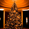 Golden Ornament