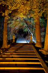 神社への石段