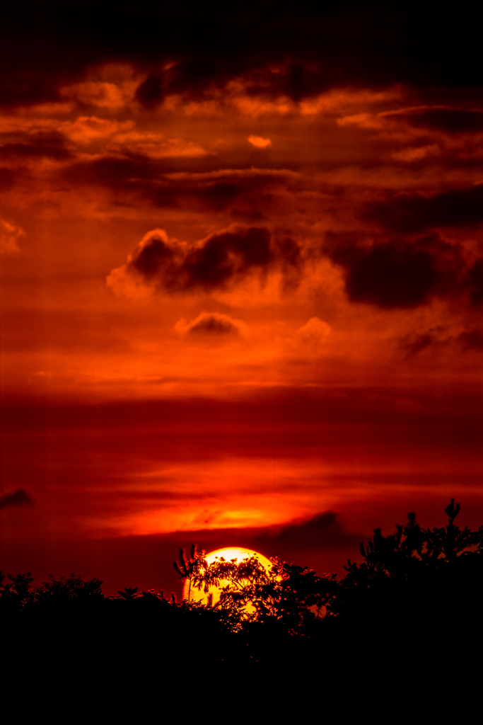 紅の空